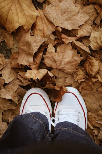 White Sneakers on Fallen Autumn Leaves