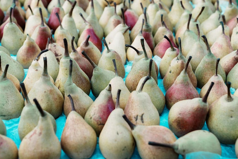 Abundance of Fresh Pears at Market Display