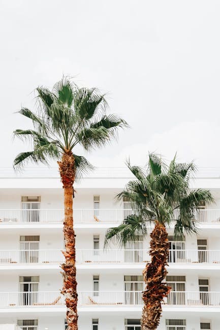 Tropical Palm Trees with White Building Backdrop