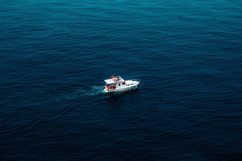 Free stock photo of black sea, boat