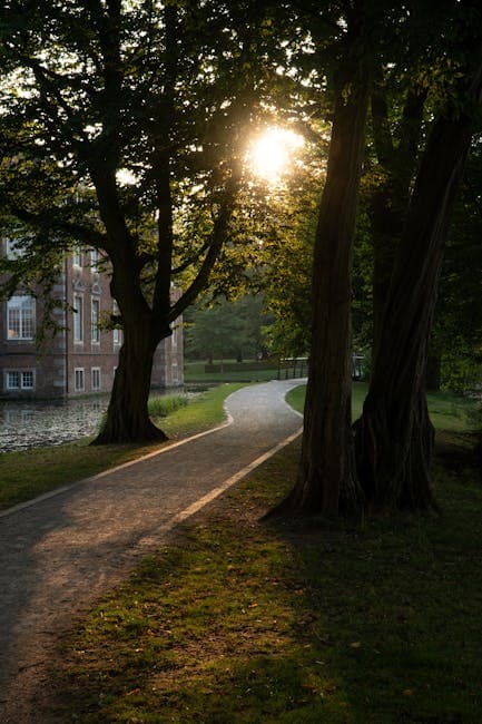 Peaceful Pathway in Velen, Germany at Sunrise