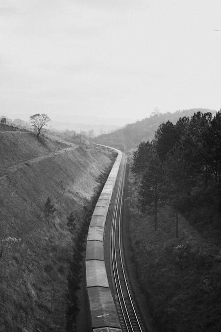 Scenic Black and White Train Landscape