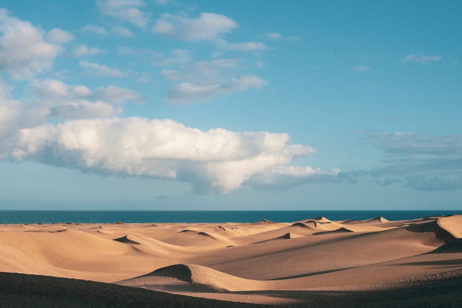 Beautiful Desert Dunes Meeting the Ocean