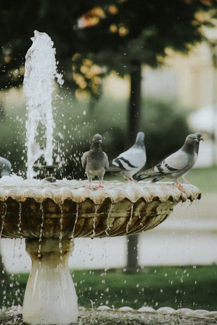 Pigeons Resting on an Elegant Fountain