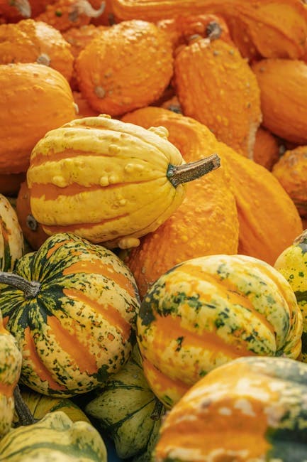 Vibrant Autumn Harvest of Gourds and Squash