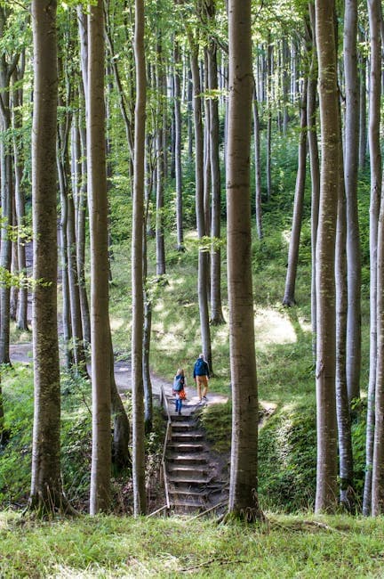 Couple Hiking Through a Serene Forest