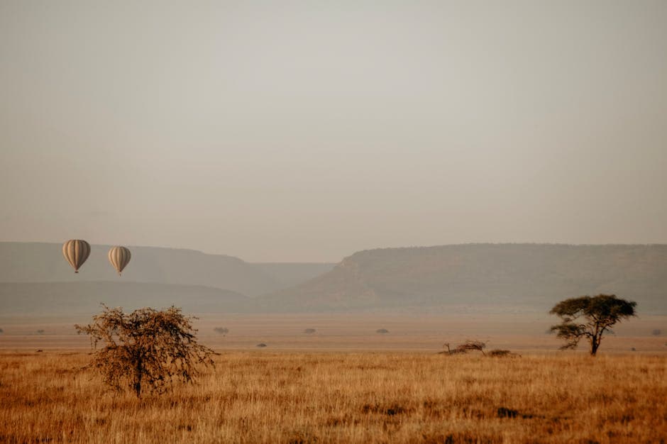 Hot Air Balloons Over Serengeti Plains at Dawn