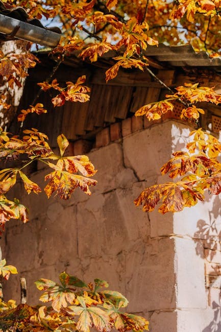 Rustic Autumn Stone Building with Leaves