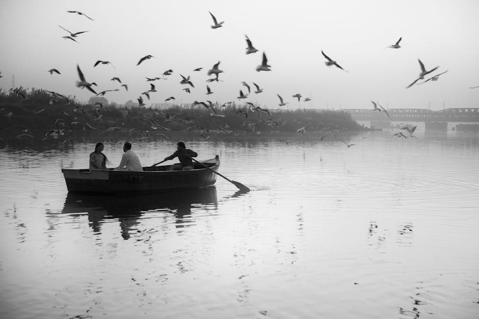 Free stock photo of bird of india, delhi, delhi architecture